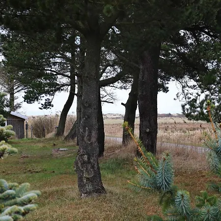 Two-bedroom Holiday In 3